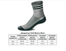 Шкарпетки TLD CHILL MERINO WOOL SOCKS MONO [fatigue] SM/MD - 2