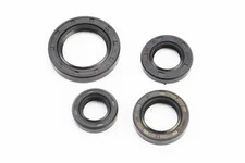 Сальники к-кт 4шт (15x25,5x7; 17x30x6; 20x31x7; 28x42x7) двигуна, Honda LEAD AF48