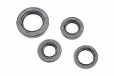 Сальники к-кт 4шт (16,4x30x5; 17x30x6; 19,8x30x5; 27x42x7) двигуна