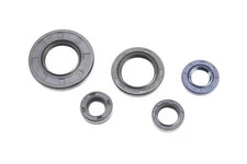 Сальники к-кт 5шт (10x18x6; 12x18x5; 12x21x4; 20x30x4,5; 20x38x5) двигуна