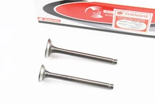 Клапан впускной, выпускной (НЕМАГНИТный) к-кт 64мм