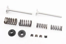 Клапан впускний (h-115; D-39; d-7,95), випускний (h-115; D-33; d-7,95) + клапанний механізм к-кт R185N/R190N/R192N