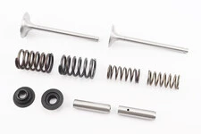 Клапан впускний (h-120; D-42; d-7,95), випускний (h-120; D-36; d-7,95) + клапанний механізм к-кт R195NM