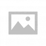 Зірка маслонасоса (на колінвалі)