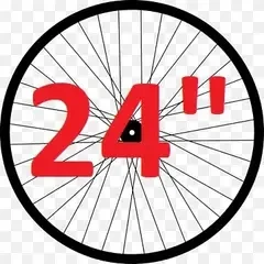 24