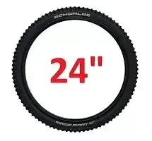 24