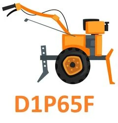 D1P65F