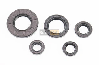 Сальники к-кт 5шт (10x18x5; 12x18x5; 12x21x4; 20x30x4,5; 20x38x5) двигуна