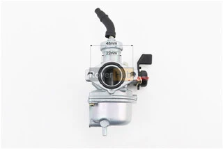 Карбюратор в сборе Delta 110/125cc, D=22