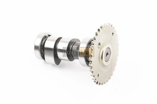 Розподільний вал в зборі 250cc