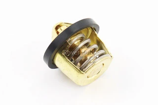 Термостат голий 250cc