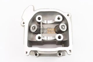 Головка циліндра + клапана + пастель + розподільний вал у зборі 44мм-60cc