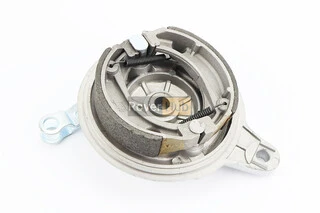 Панель тормозная задняя с колодками