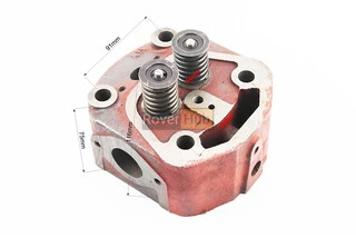 Головка циліндра R192N у зборі