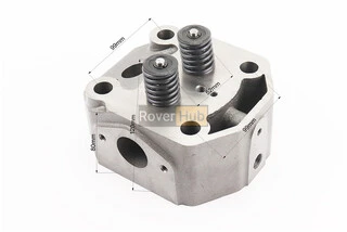 Головка циліндра R195NM у зборі