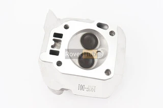 Головка циліндра у зборі 192F